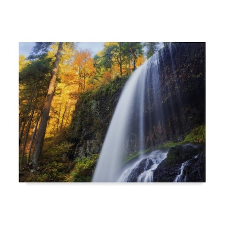Everlook Photography 'Silver Falls' Canvas Art,35x47